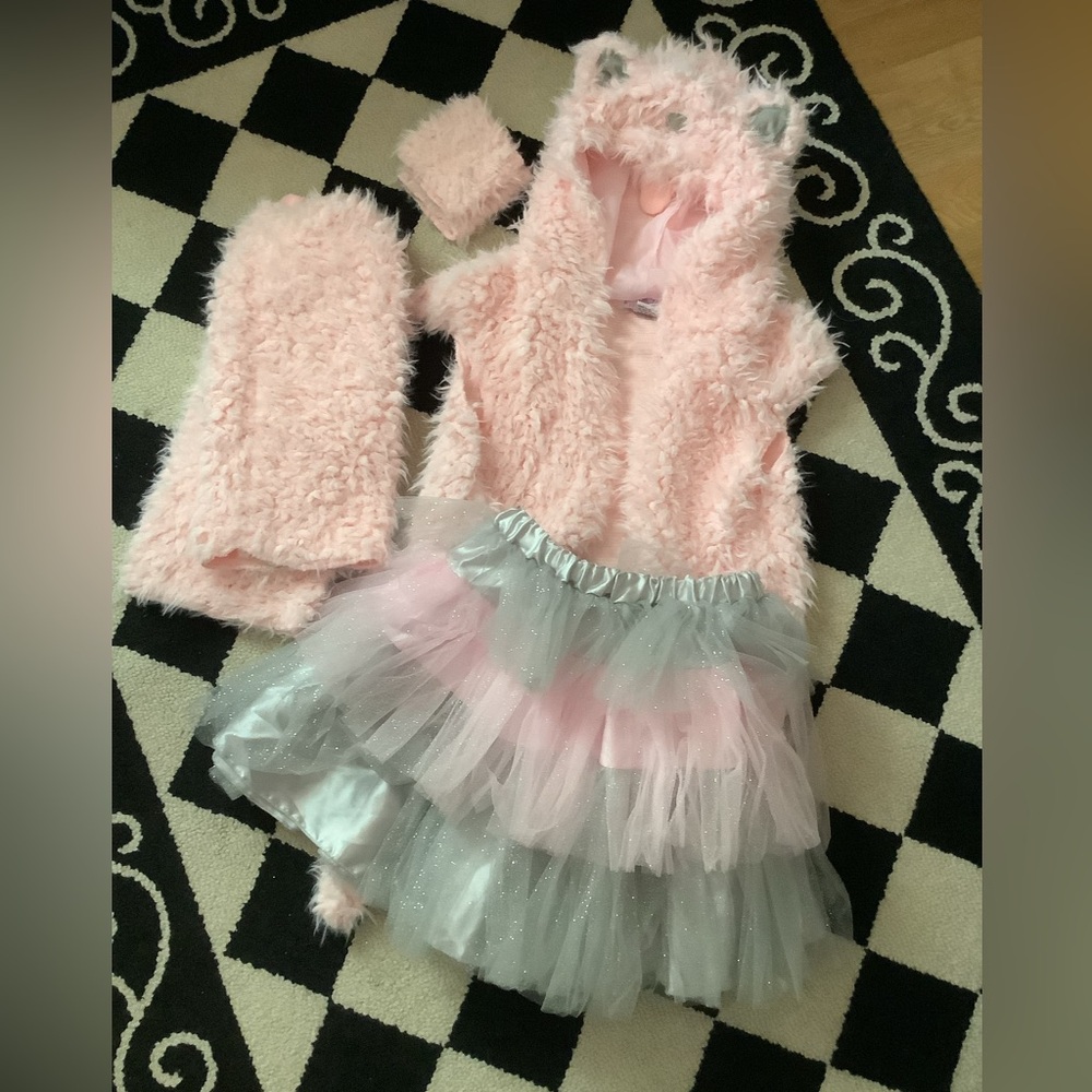 Princess Paradise cat costume tween 14/16 EUC